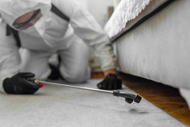 Professional Bed Bug Control technician working in Rockville, MN