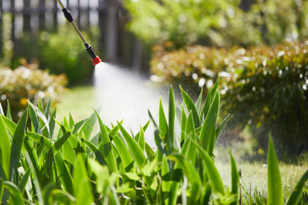 24/7 Emergency Bed Bug Control experts in Rockville, MN