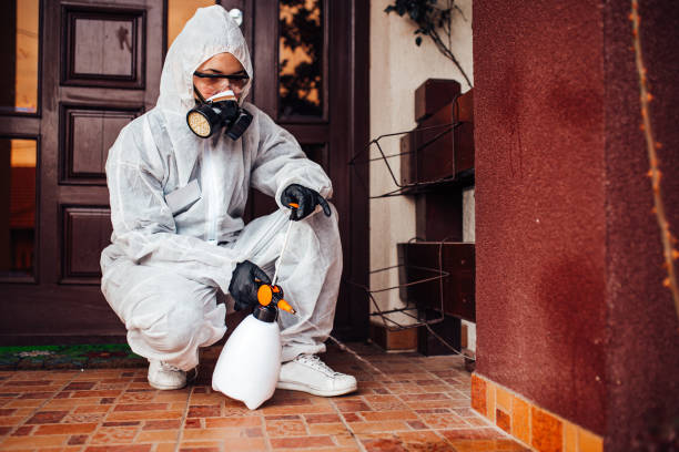 Reliable Bed Bug Control contractor in Rockville, MN by Nex Pest Control