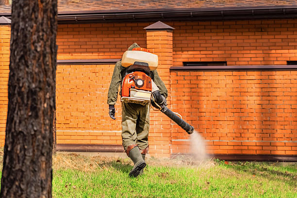 Trusted Bed Bug Control service in Rockville, MN - Nex Pest Control